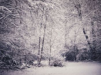 Snow covered landscape