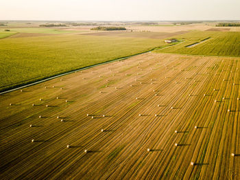 High angle view of agricultural field