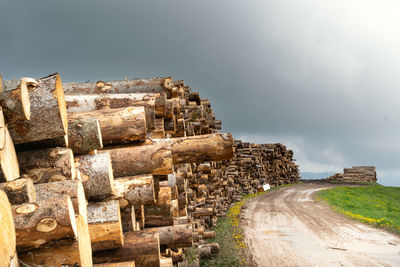 Piles of trunks from trees felled by storm vaia. pathway and cloudy sky belluno, italy