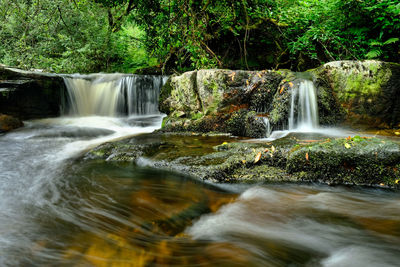 View of waterfall in forest