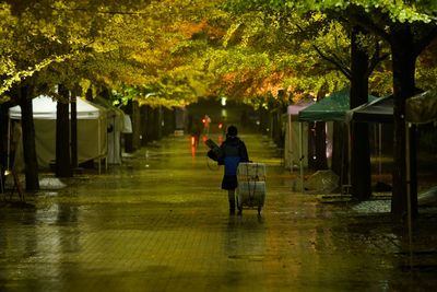 Rear view of man walking on walkway in park during autumn