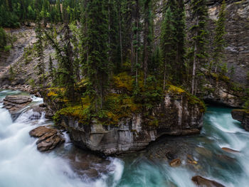 Scenic view of waterfall in forest maligne canyon in jasper national park