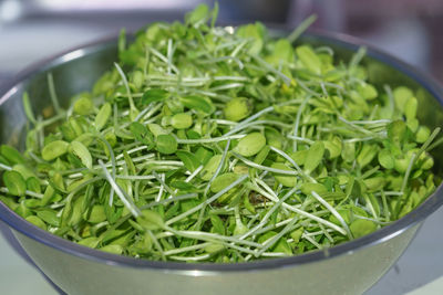 High angle view of chopped vegetables in bowl