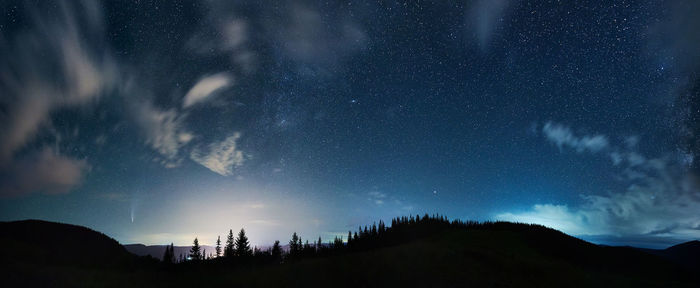 Low angle view of trees against sky at night