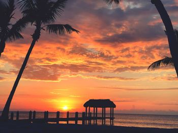 Silhouette palm trees on beach against sky during sunset