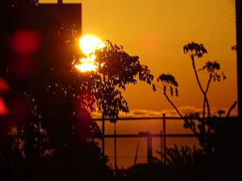 Silhouette tree by sea against sky during sunset