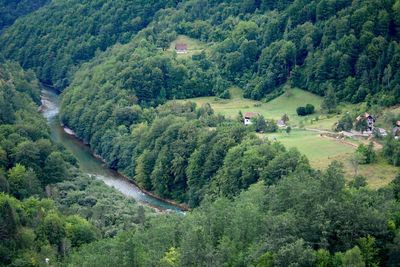High angle view of trees and mountains