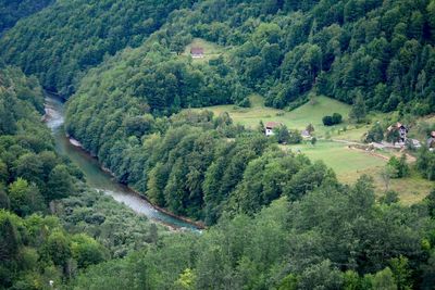 Tara river canyon in montenegro 