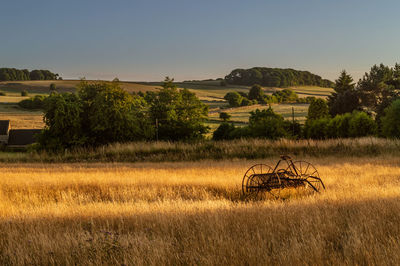 Scenic view of field against clear sky