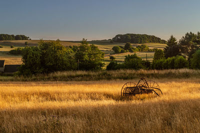 Antique hay rake in a farmers field at sunset.