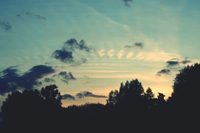 Silhouette trees against sky during sunset