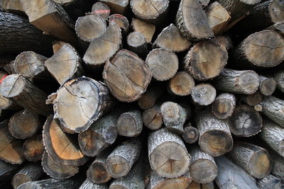 Full frame shot of logs in forest