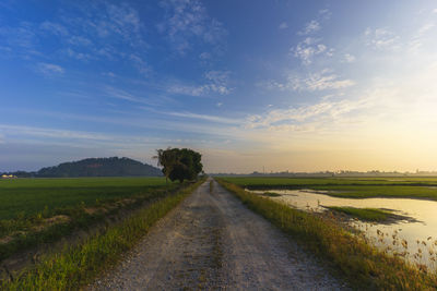 Dirt road amidst agricultural field against sky during sunset