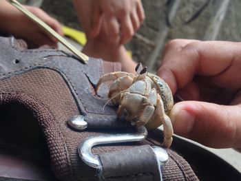 Close-up of person holding hands