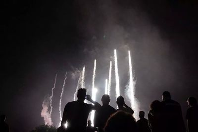 People enjoying concert at night