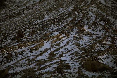 Full frame shot of water flowing in puddle
