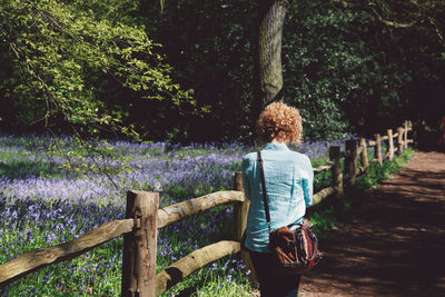 Rear view of woman walking by plants at forest