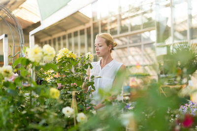 Woman standing by flowering plants in greenhouse