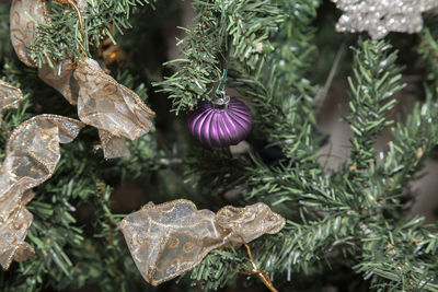 Purple globe, clear star, and gold and white ribbon decorations on an artificial tree