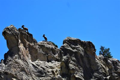 Low angle view of rock formation against clear blue sky