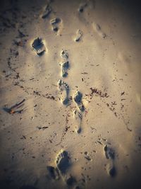 High angle view of footprints on wet sand