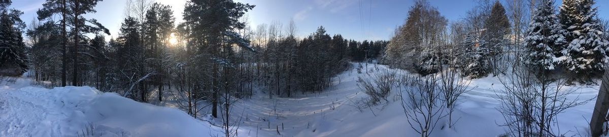 Snow covered trees in forest against sky
