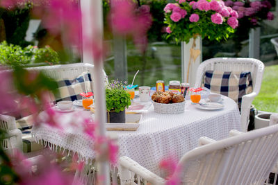 Potted plant on table