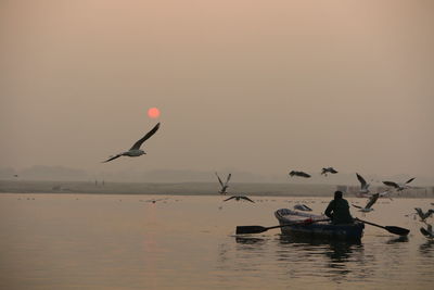 Rear view of man in boat amidst seagulls on river against sky