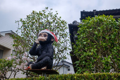 Monkey looking away in yard against building