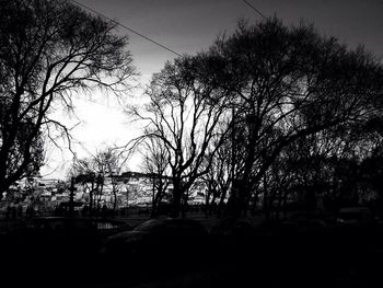 Bare trees against sky