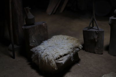 Dog lying on floor at home