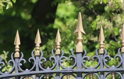 Close-up of metal gate against trees