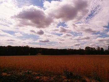 Scenic view of field against sky