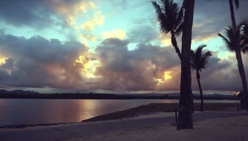 Silhouette palm trees on beach against sky during sunset