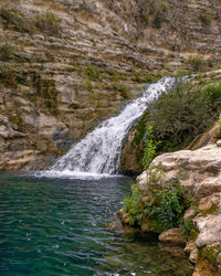 Scenic view of waterfall in forest