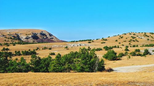 Scenic view of landscape against clear blue sky