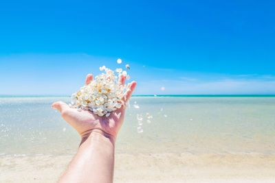 Close-up of hand holding flower on beach