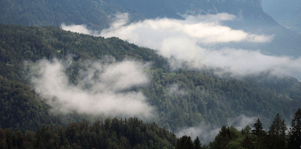 Panoramic view of trees and mountains against sky