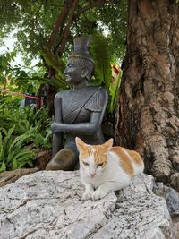 Cat sitting by statue against trees