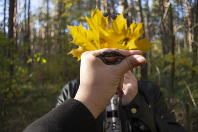 Midsection of person holding yellow flowering plant