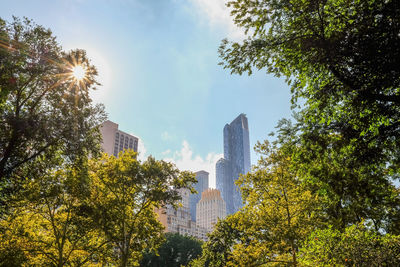 Low angle view of buildings and trees at central park