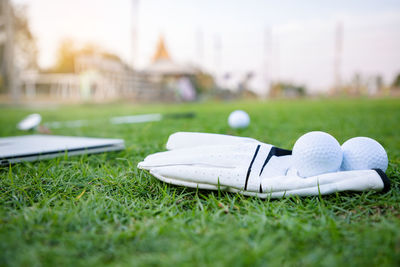 Close-up of white shoes on field