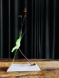 Ikebana dancing flower