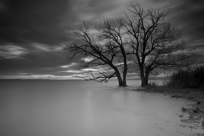 Bare tree on snow covered landscape against sky