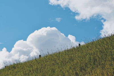 Low angle view of grassy hill against cloudy sky on sunny day