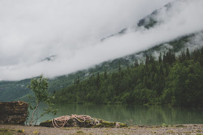 Scenic view of lake by trees against sky