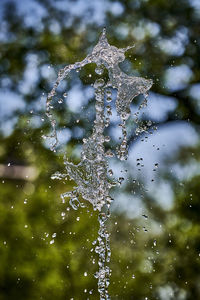 Close-up of water drops on plant