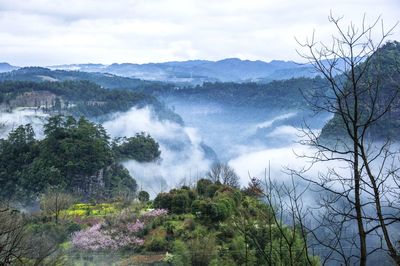 Panoramic view of landscape against sky