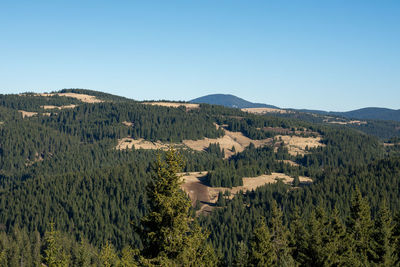 Scenic view of landscape against clear blue sky