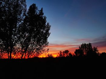 Silhouette trees against sky during sunset